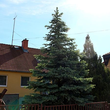 Dom Studia Petra Hotel Štúrovo Buitenkant foto